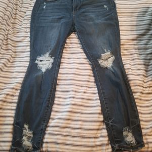 Judy Blue Jeans Size 16W